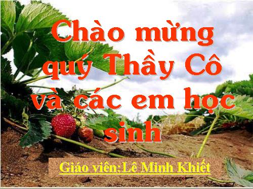 Bài 41. Sinh sản vô tính ở thực vật