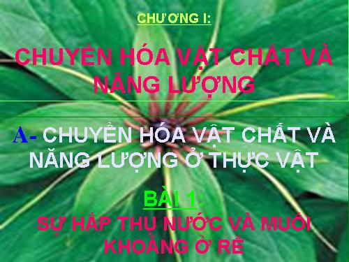 Bài 1. Sự hấp thụ nước và muối khoáng ở rễ