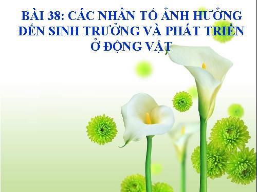 Bài 38. Các nhân tố ảnh hưởng đến sinh trưởng và phát triển ở động vật