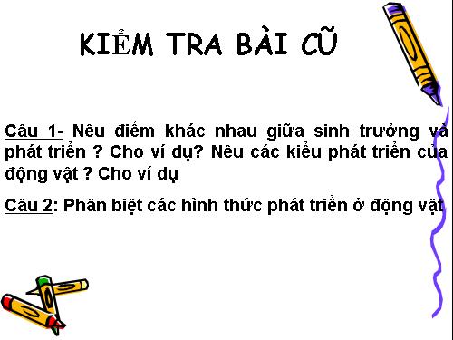 Bài 38. Các nhân tố ảnh hưởng đến sinh trưởng và phát triển ở động vật