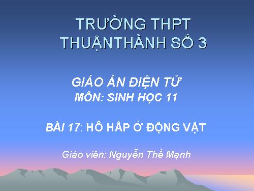 Bài 17. Hô hấp ở động vật