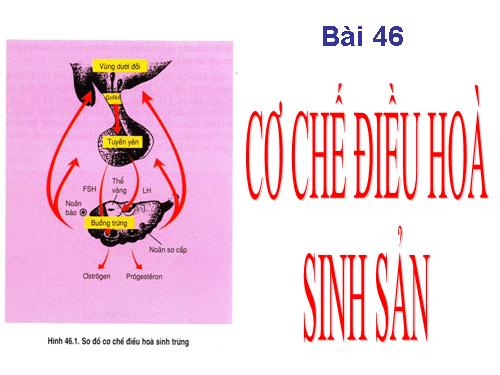 Bài 46. Cơ chế điều hòa sinh sản