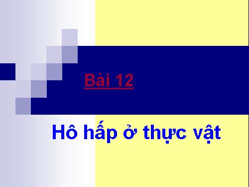 Bài 12. Hô hấp ở thực vật