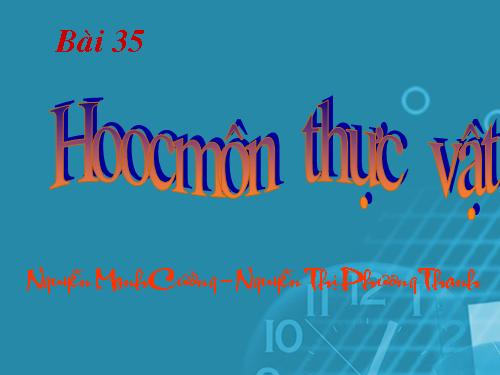 Bài 35. Hoocmôn thực vật