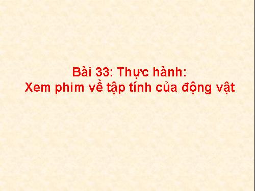 Bài 33. Thực hành: Xem phim về tập tính của động vật