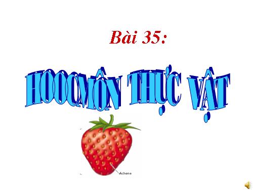 Bài 35. Hoocmôn thực vật