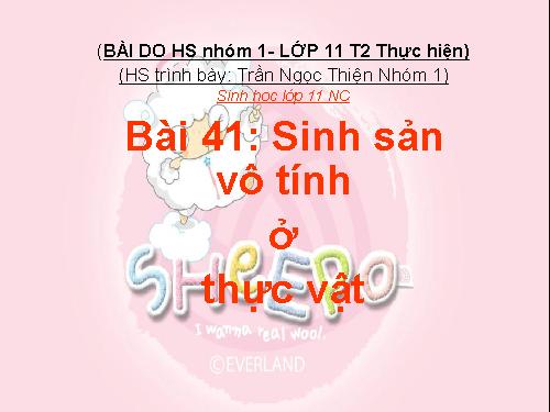 Bài 41. Sinh sản vô tính ở thực vật