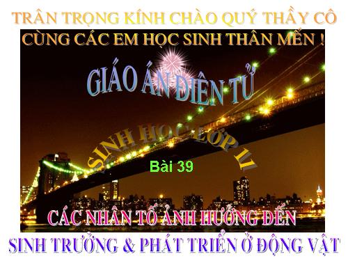 Bài 39. Các nhân tố ảnh hưởng đến sinh trưởng và phát triển ở động vật (tiếp theo)