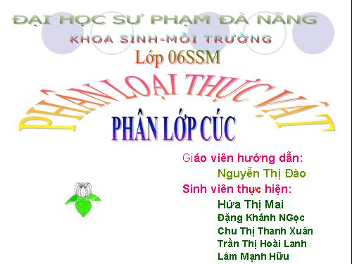 phân loại thực vật