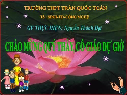 Bài 39. Các nhân tố ảnh hưởng đến sinh trưởng và phát triển ở động vật (tiếp theo)