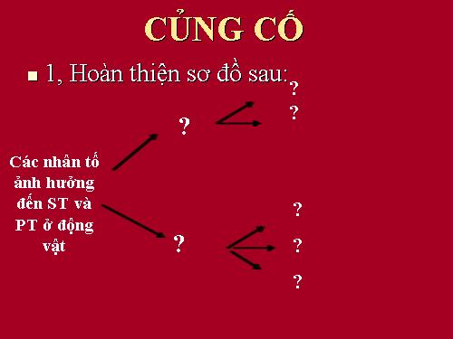 Bài 39. Các nhân tố ảnh hưởng đến sinh trưởng phát triển của động vật (t2)