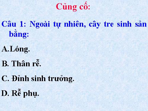 Bài 41. Sinh sản vô tính ở thực vật