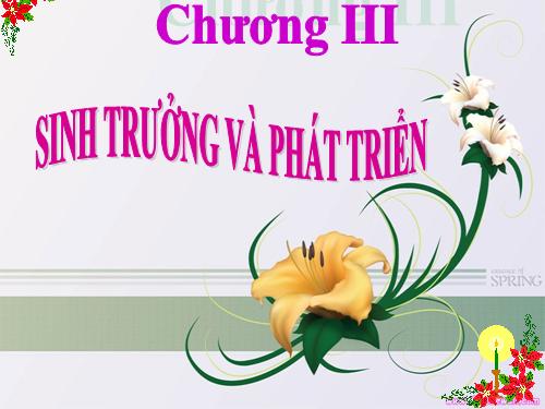 Bài 36. Phát triển ở thực vật có hoa