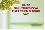 Bài 37. Sinh trưởng và phát triển ở động vật