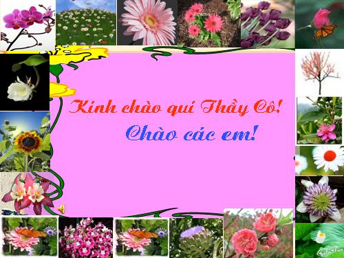 Bài 36. Phát triển ở thực vật có hoa