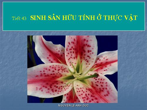 Bài 42. Sinh sản hữu tính ở thực vật