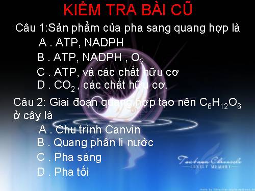 Bài 10. Ảnh hưởng của các nhân tố ngoại cảnh đến quang hợp