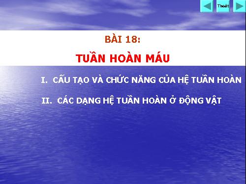 Bài 18. Tuần hoàn máu