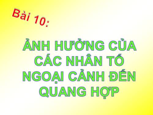 Bài 10. Ảnh hưởng của các nhân tố ngoại cảnh đến quang hợp