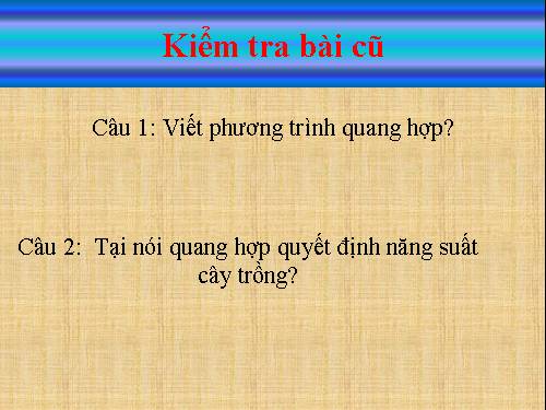 Bài 12. Hô hấp ở thực vật