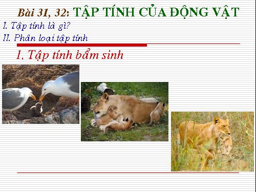 Bài 31. Tập tính của động vật