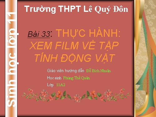 Bài 33. Thực hành: Xem phim về tập tính của động vật