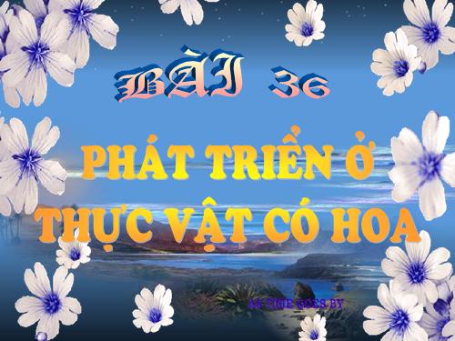 Bài 36. Phát triển ở thực vật có hoa