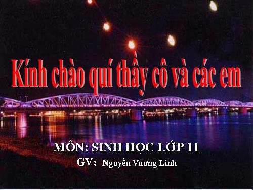 Bài 41. Sinh sản vô tính ở thực vật