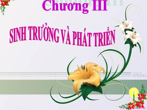 Bài 34. Sinh trưởng ở thực vật