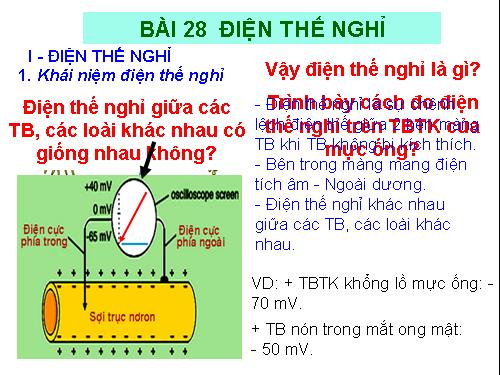 Bài 28. Điện thế nghỉ