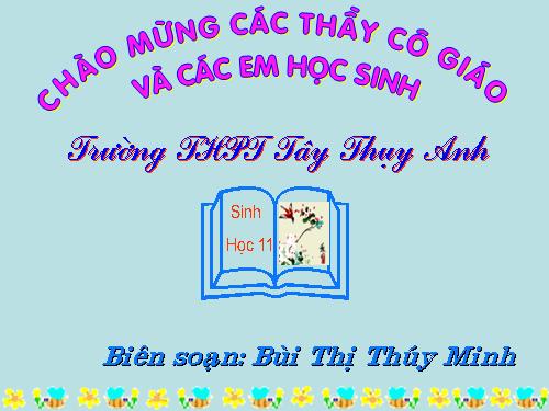 Bài 26. Cảm ứng ở động vật