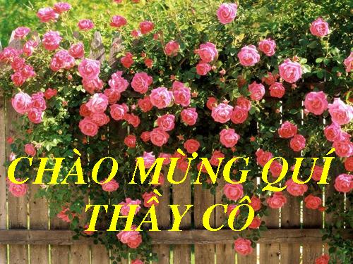 Bài 8. Quang hợp ở thực vật