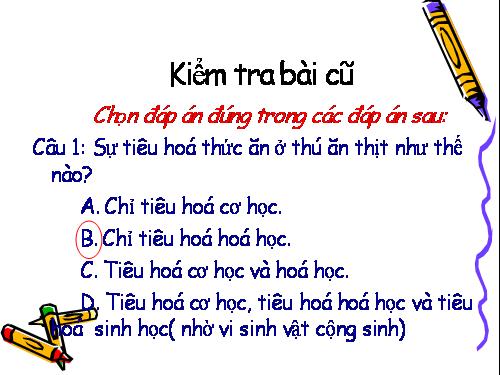 Bài 17. Hô hấp ở động vật