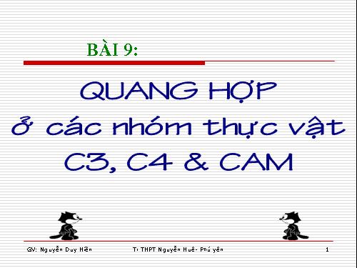 Bài 9. Quang hợp ở các nhóm thực vật C3, C4 và CAM