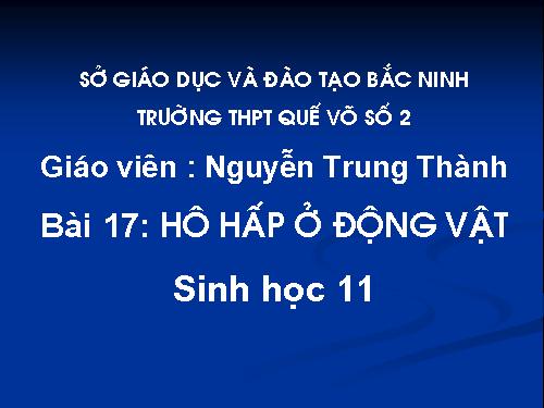 Bài 17. Hô hấp ở động vật