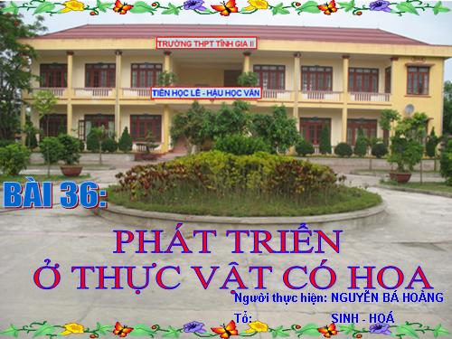 Bài 36. Phát triển ở thực vật có hoa