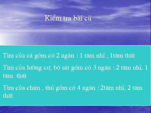 Bài 19. Tuần hoàn máu (tiếp theo)