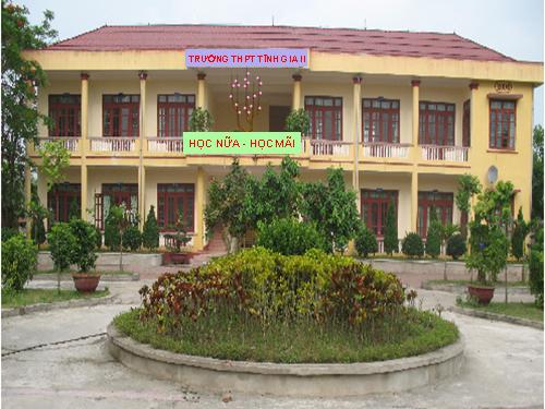 Bài 35. Hoocmôn thực vật