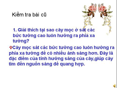 Bài 24. Ứng động