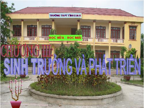 Bài 34. Sinh trưởng ở thực vật