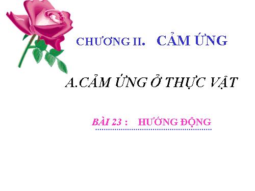 Bài 23. Hướng động