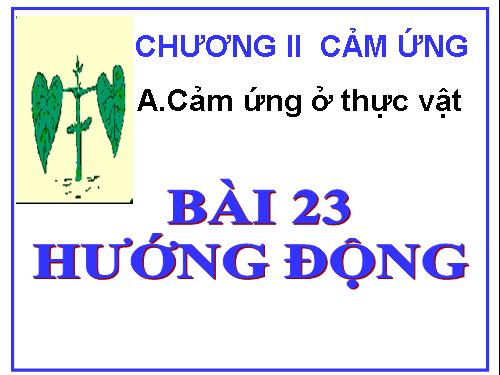 Bài 23. Hướng động