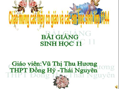 Bài 24. Ứng động