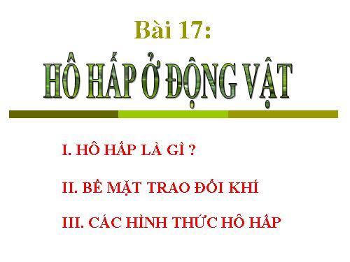 Bài 17. Hô hấp ở động vật