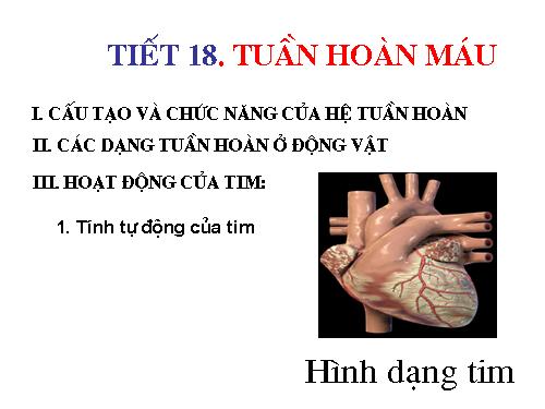 Bài 18. Tuần hoàn máu