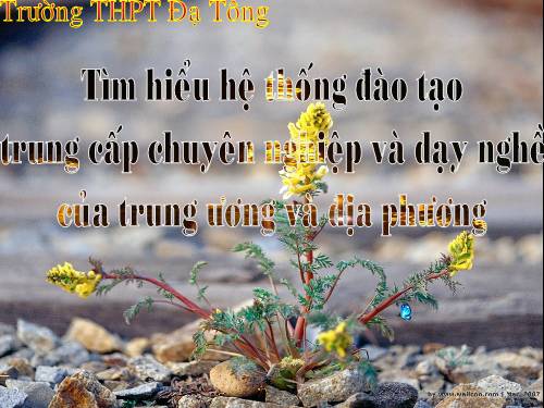 tuoi tre va tinh duc