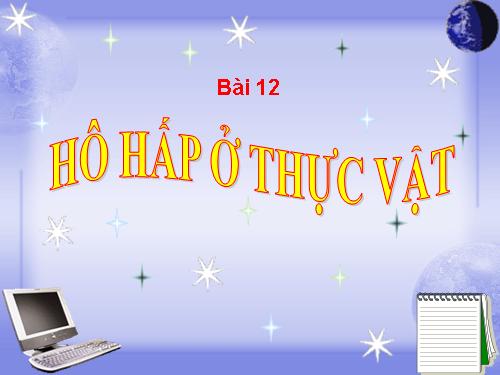 Bài 12. Hô hấp ở thực vật