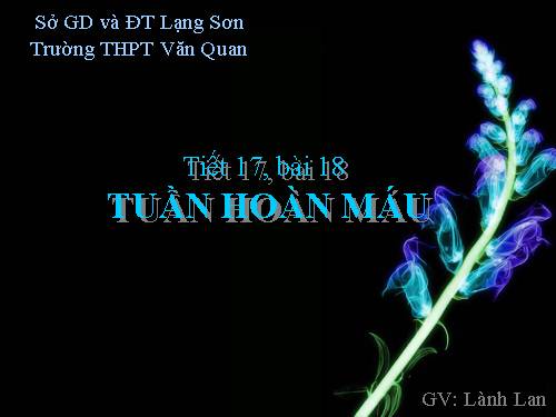 Bài 18. Tuần hoàn máu