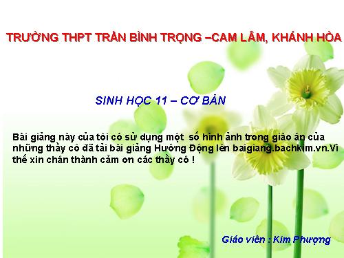 Bài 23. Hướng động