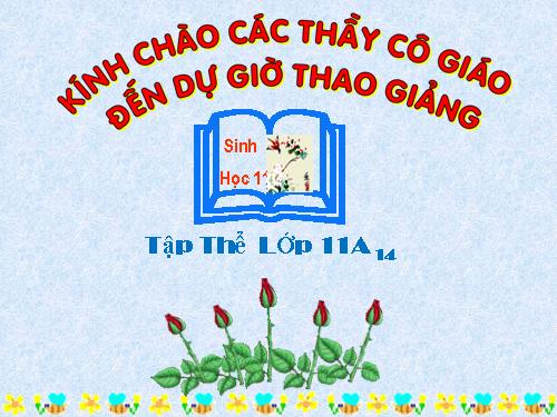 Bài 19. Tuần hoàn máu (tiếp theo)